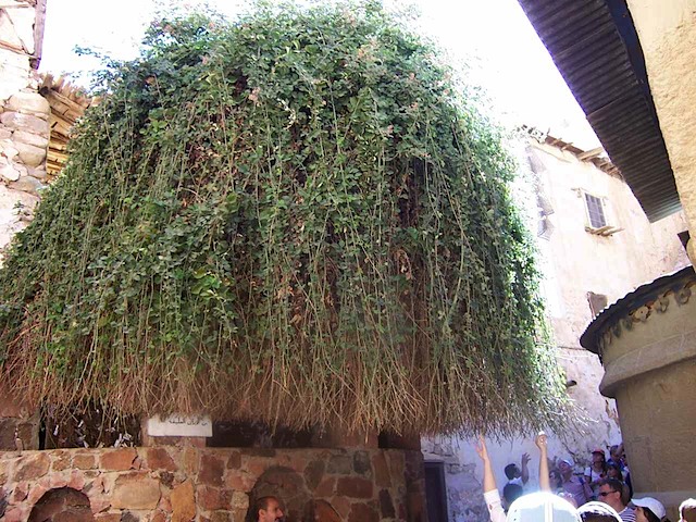100_1424.JPG