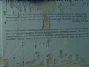 100_2134.JPG