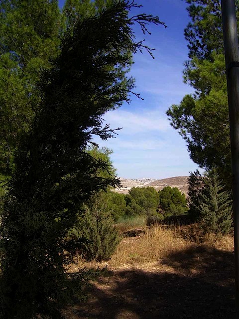 100_2264.JPG