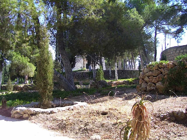 100_2266.JPG