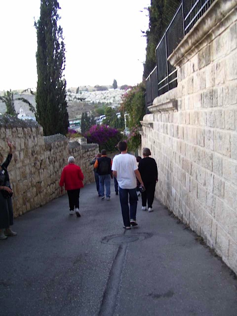 100_2350.JPG