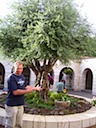 100_2396.JPG