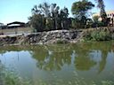 DSC00265.JPG