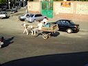 DSC00318.JPG