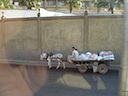 DSC00323.JPG