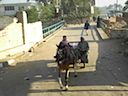 DSC00333.JPG