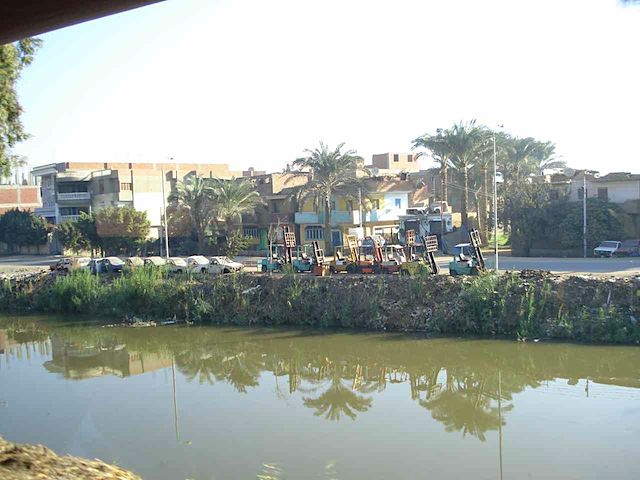 DSC00342.JPG