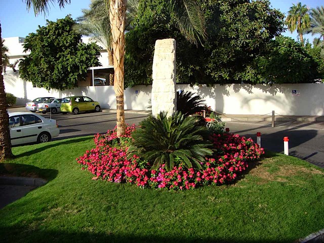 DSC00358.JPG