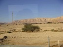 DSC00367.JPG