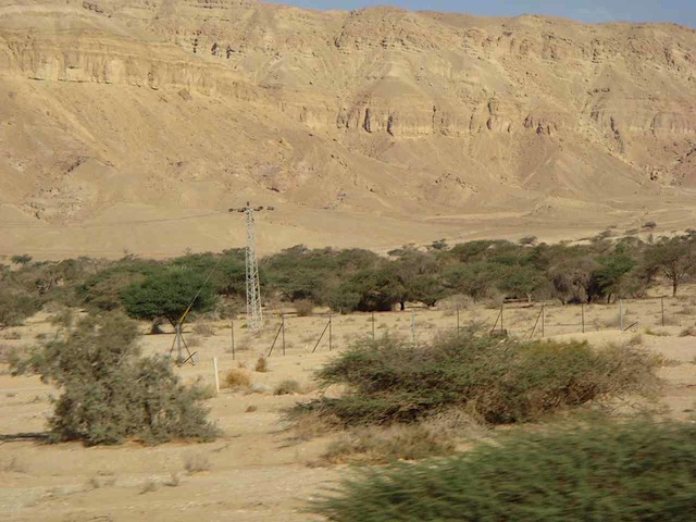 DSC00372.JPG