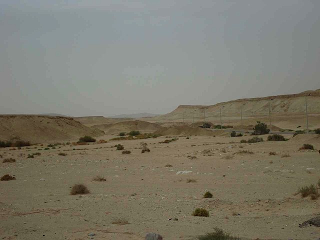 DSC00407.JPG