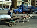 DSC00454.JPG