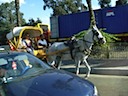 DSC00480.JPG
