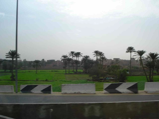 DSC00511.JPG
