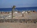 DSC00604.JPG