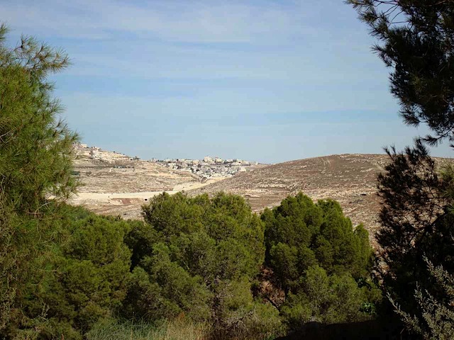 DSC00620.JPG