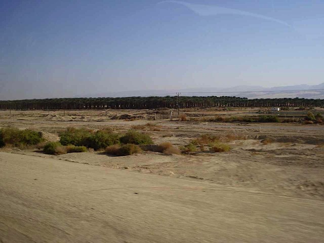 DSC00622.JPG