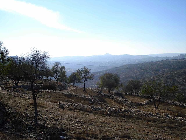 DSC00758.JPG