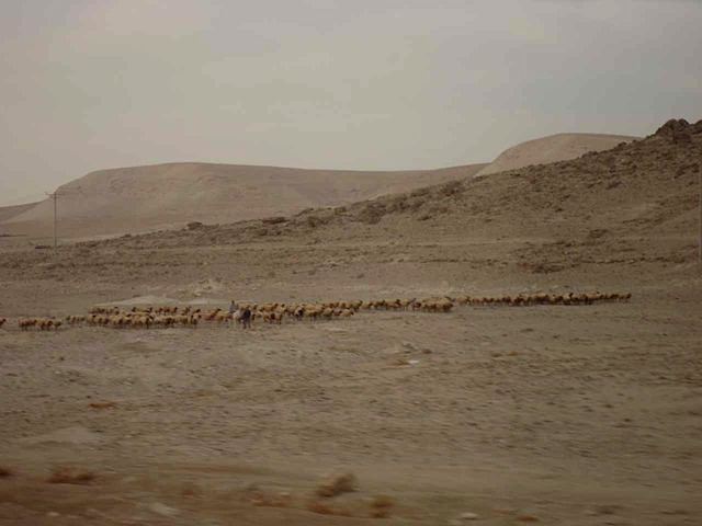 DSC00800.JPG