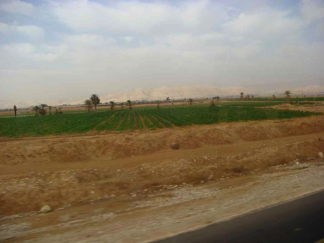 DSC00803.JPG