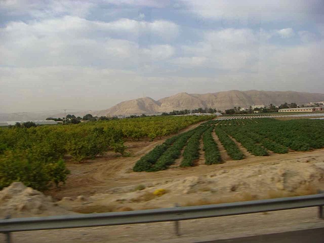 DSC00804.JPG
