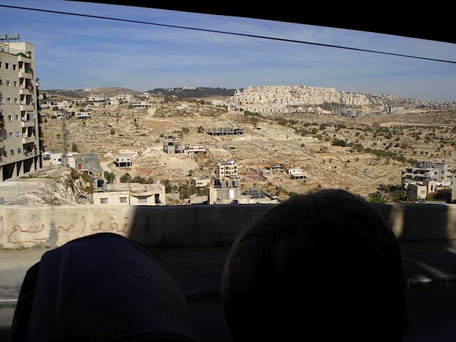 DSC00804.JPG