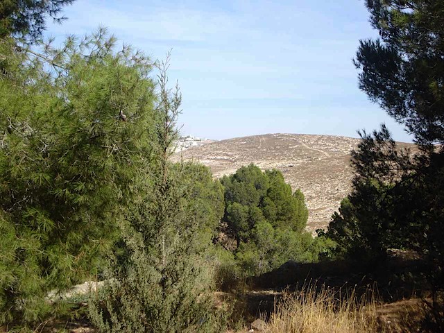 DSC00807.JPG