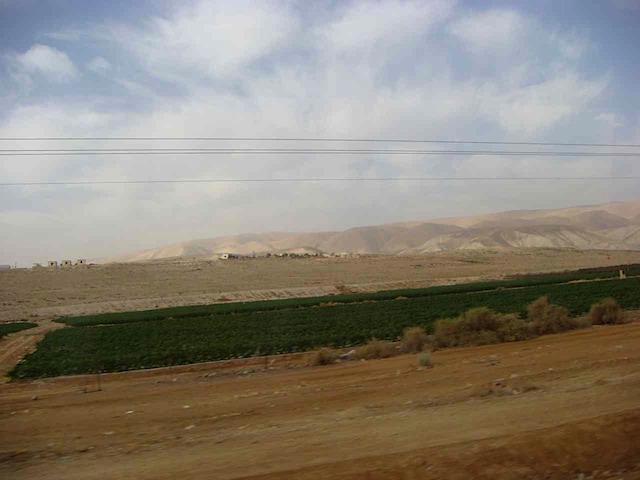 DSC00808.JPG