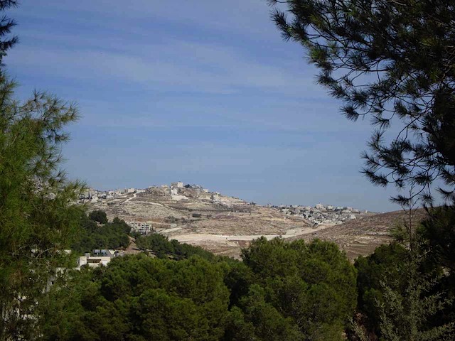 DSC00808.JPG