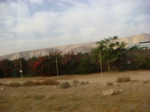 DSC00809.JPG
