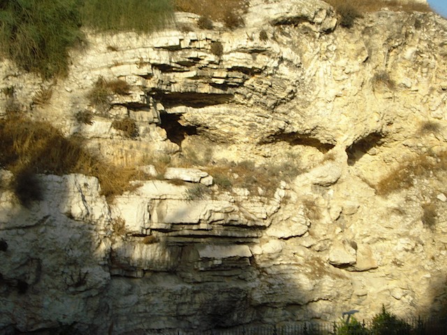 DSC01048.JPG