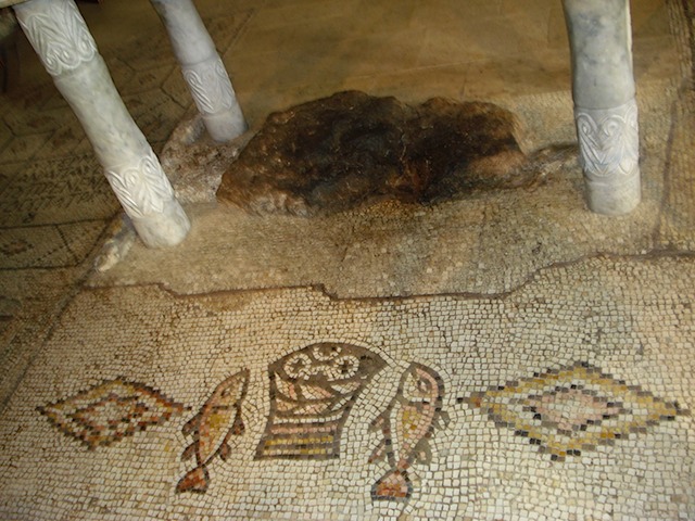 DSC01149.JPG