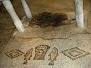 DSC01149.JPG