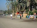 DSC01681.JPG