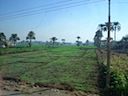 DSC01696.JPG