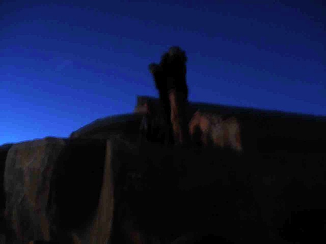DSC01883.JPG