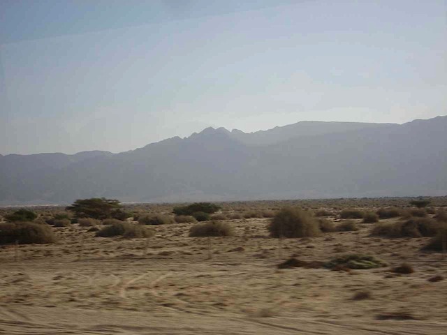 DSC02009.JPG