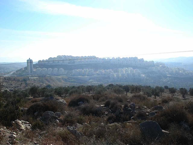 DSC02125.JPG