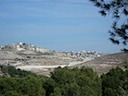 DSC02147.JPG
