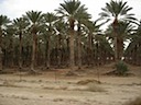 DSC02446.JPG
