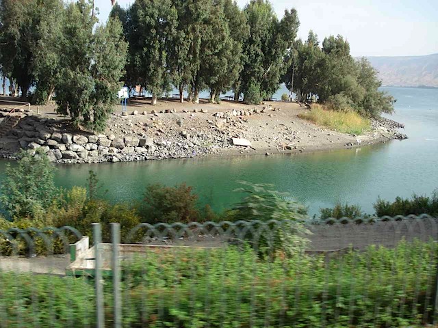 DSC02463.JPG