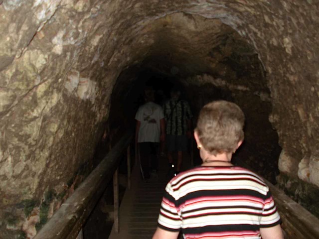 DSC02602.JPG