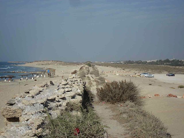 DSC02636.JPG