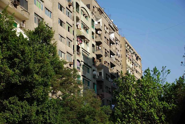 DSC_4605.JPG
