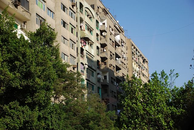 DSC_4605