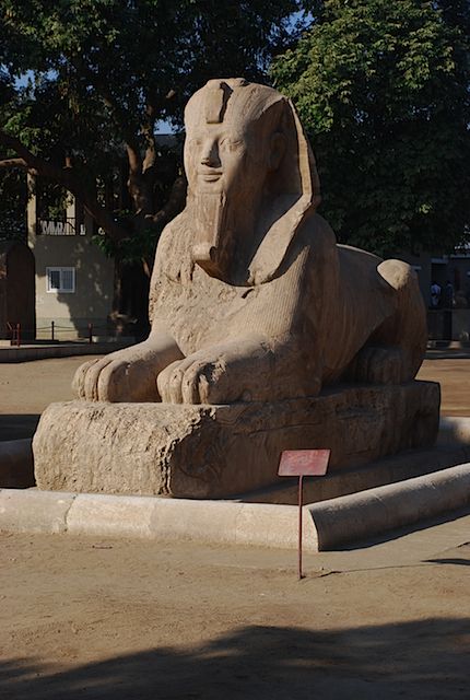 DSC_4679