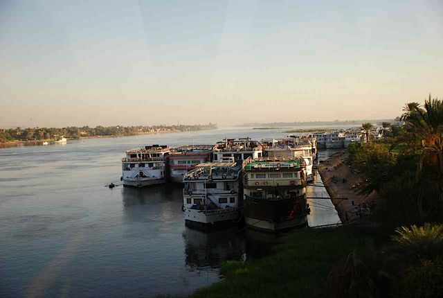 DSC_4982.JPG