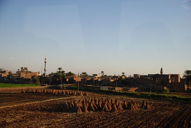 DSC_4995