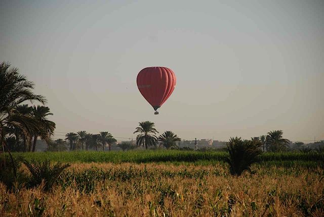DSC_5003.JPG