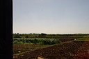 DSC_5074